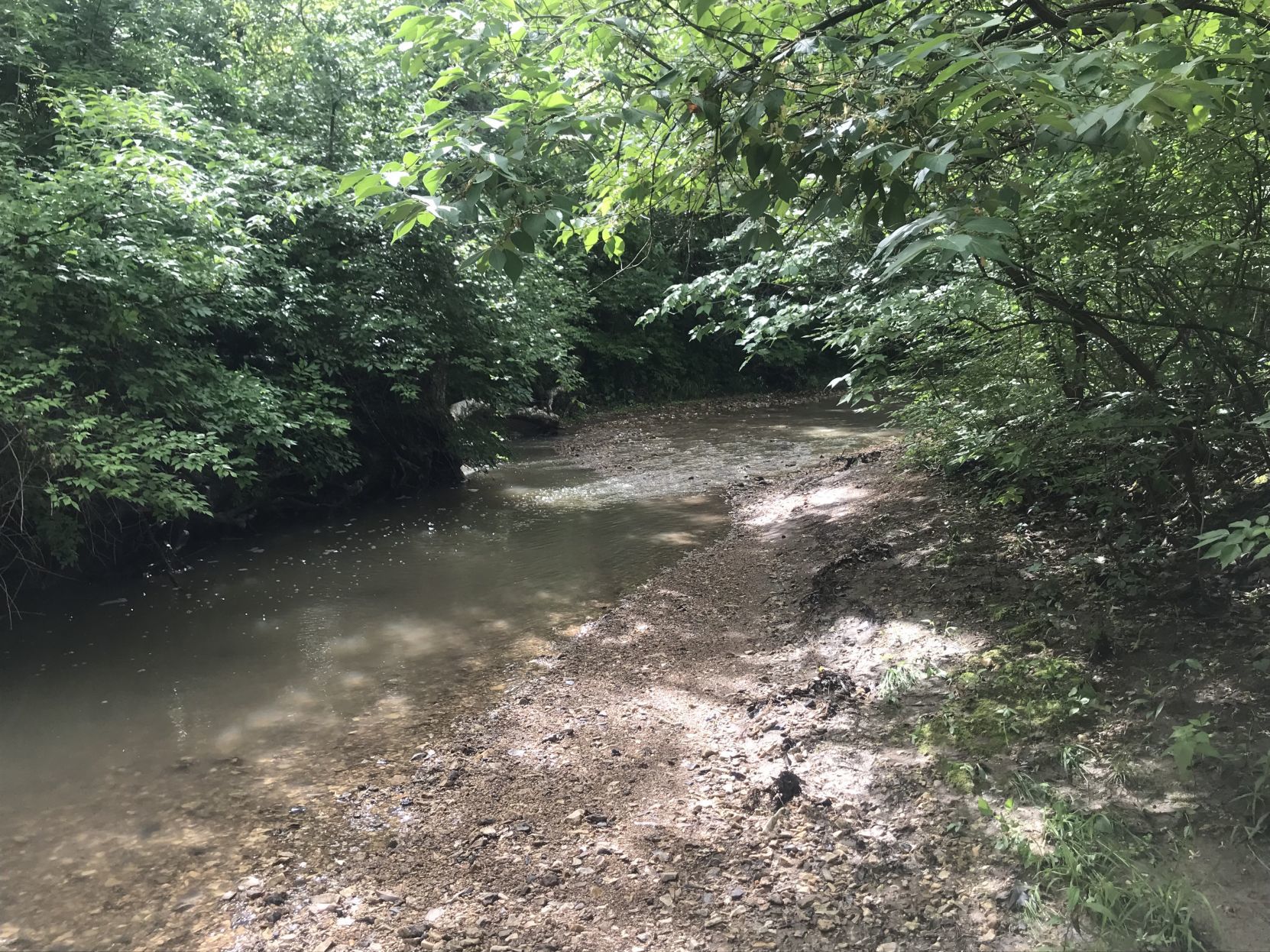 Wildwood Community Park